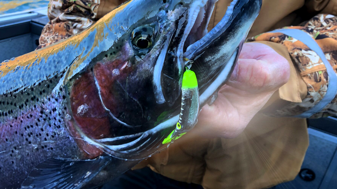 Yakima Mag Lips w/ MST UV Coating