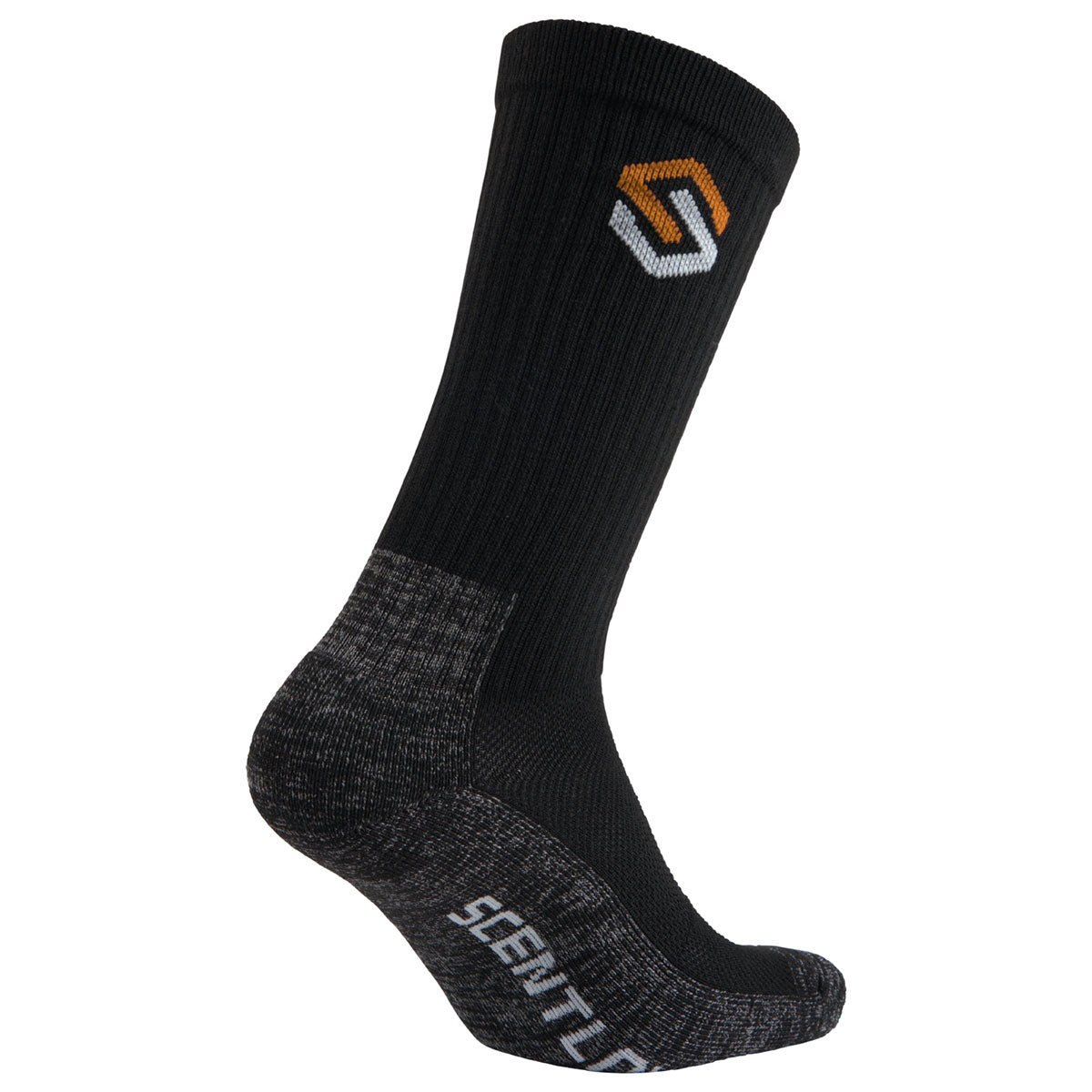 3137651-090-EverydaySock_RFACE