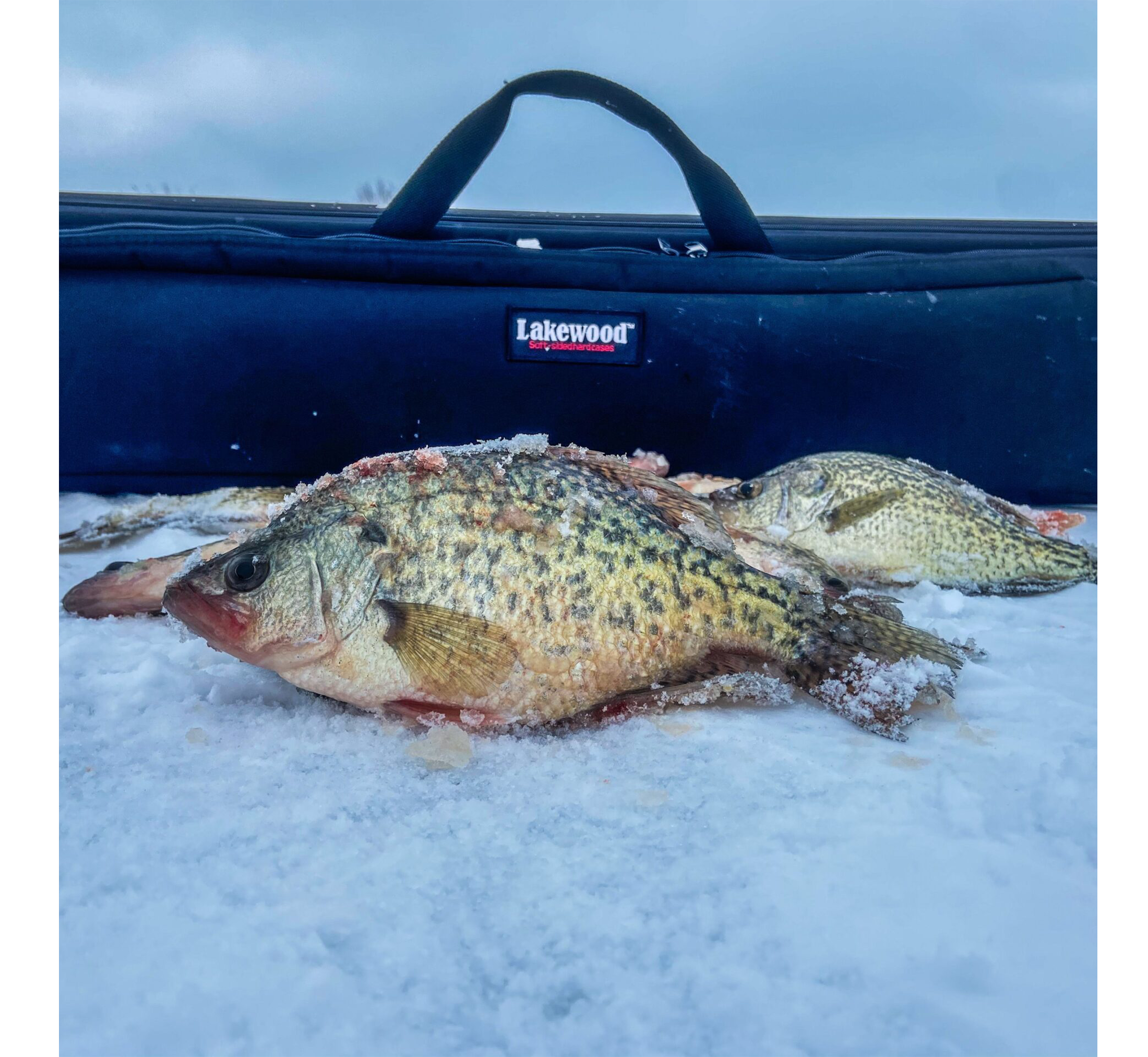 Ice Rod Caddy - 3 Sizes Available!