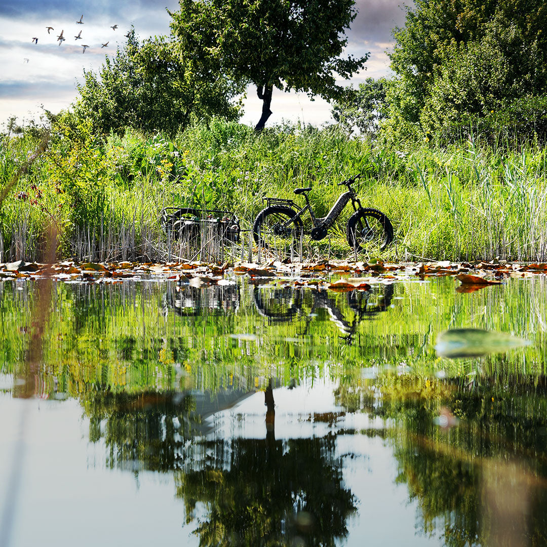 Rugged B2 High-Performance E-Bike