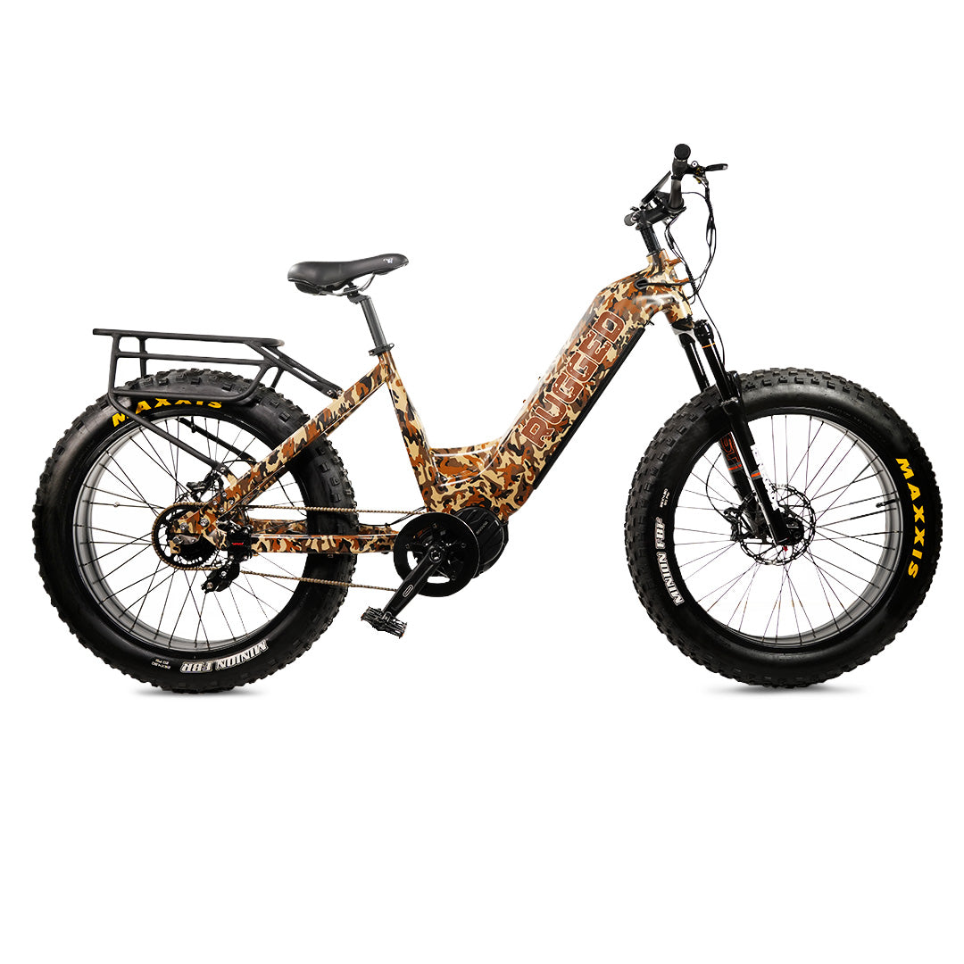 Rugged B2 High-Performance E-Bike
