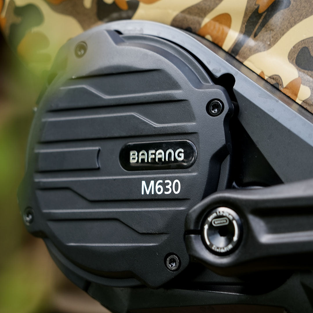 Rugged B2 High-Performance E-Bike