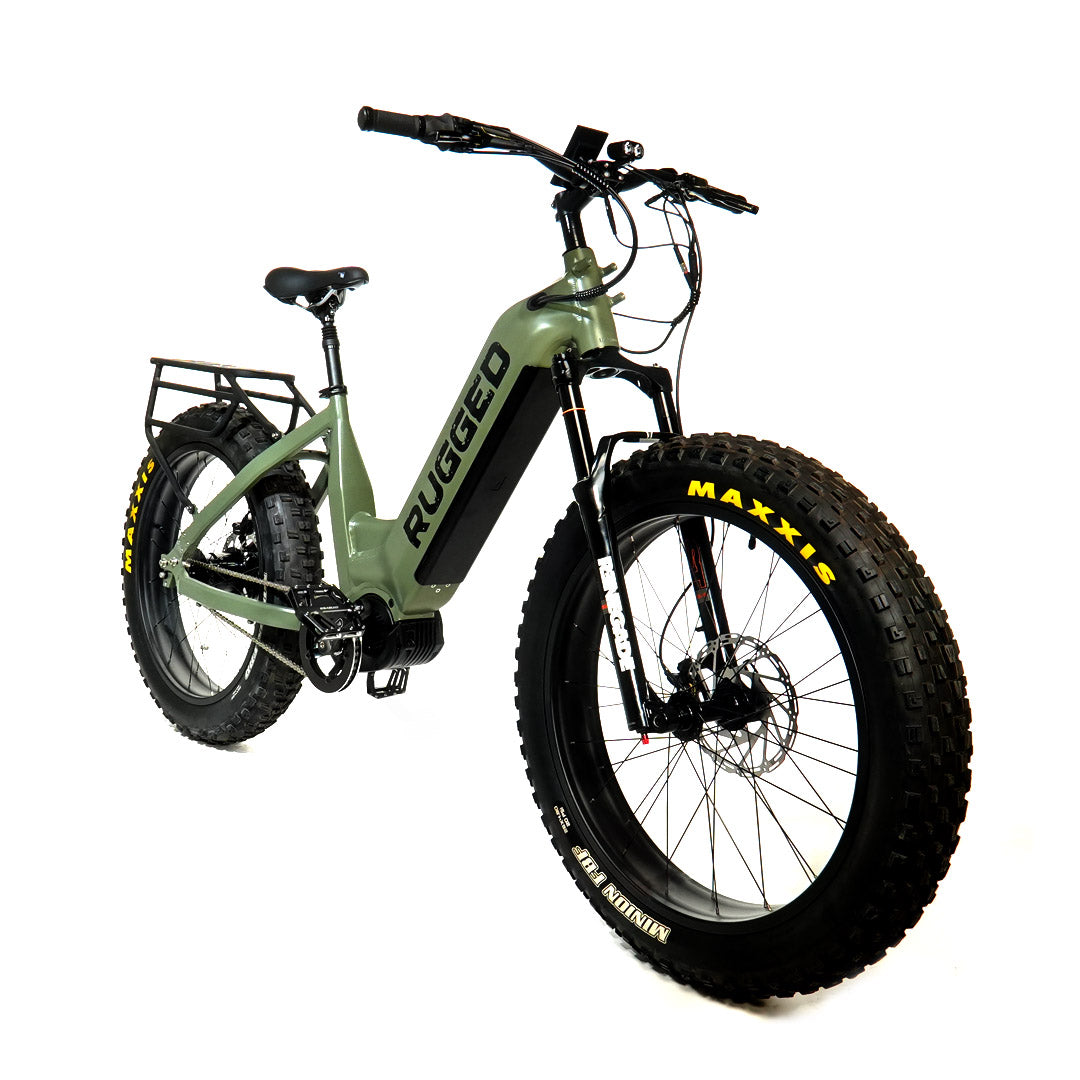 Rugged Shadow Wing Rohloff High-Performance E-Bike